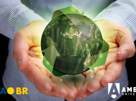 Direito ambiental e sustentabilidade